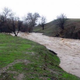 Life on the Ranch Midwinter Image